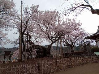 大津山 実相寺の参拝記録(あやちきさん)