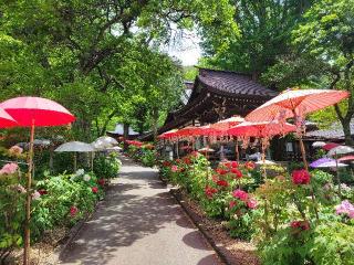 妙朝山 遠照寺の参拝記録(まっきーさん)