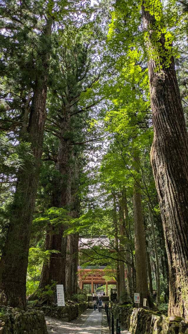 寶積山 無動院 光前寺の参拝記録5