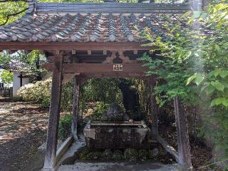 成田山 藥師寺の参拝記録(ひろ坊さん)