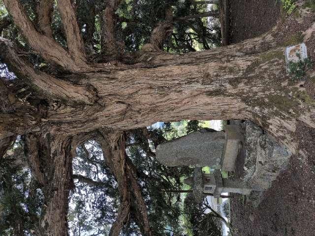 長泉寺の写真1
