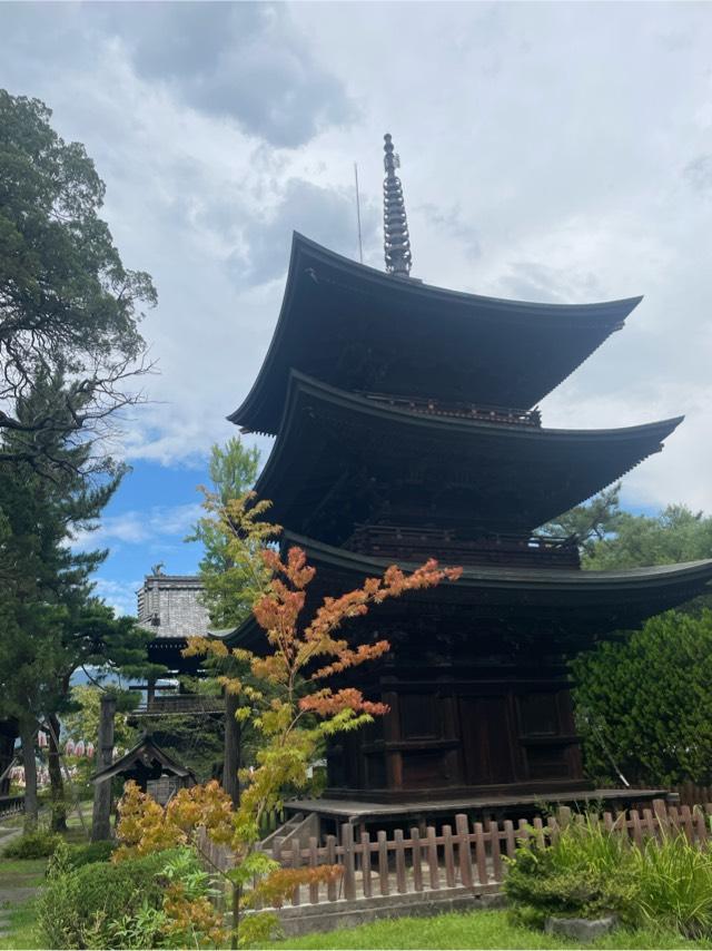 信濃国分寺の参拝記録4