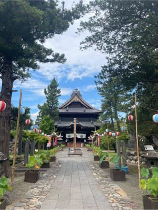 信濃国分寺の参拝記録(しゅんきちさん)