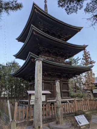 信濃国分寺の参拝記録(だーよしさん)