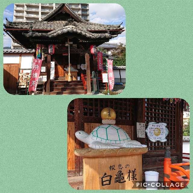 修禅山 妙光寺の参拝記録4