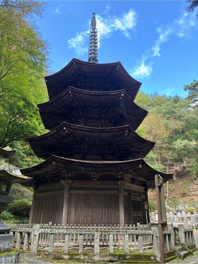 崇福山安楽寺の参拝記録6