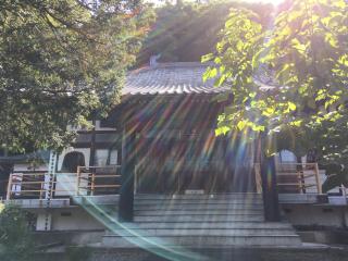 安養寺の参拝記録(ムドラさん)