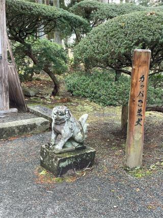 蓮峰山 常堅寺の参拝記録(オーヒラさん)