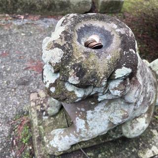 蓮峰山 常堅寺の参拝記録(pocomiさん)
