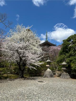 定額山 善光寺の参拝記録(ロカさん)