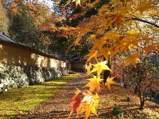 妙見山 黒石寺の参拝記録(桃さん)