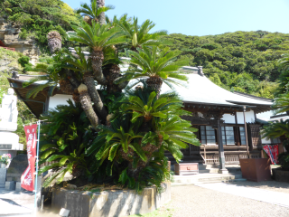 船形山 普門院 大福寺の参拝記録(優雅さん)