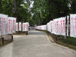 妙厳寺 豊川稲荷 千本幟の参拝記録7