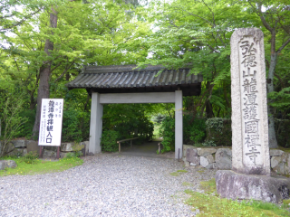 弘徳山 龍潭寺の参拝記録7