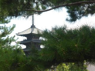 霊応山 法観禅寺(八坂の塔)の参拝記録1