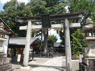 縣神社の参拝記録6