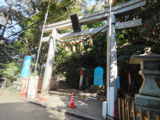 児玉神社（2021年春に封鎖）の参拝記録(優雅さん)