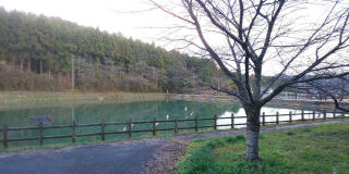 岩倉神社の参拝記録(優雅さん)