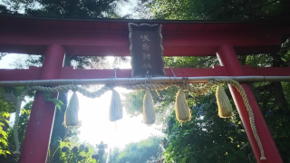 鷺宮咲前神社の参拝記録3
