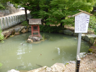 尾張富士大宮浅間神社の参拝記録(優雅さん)