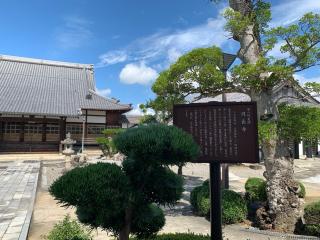 円長寺の参拝記録(くーさん)