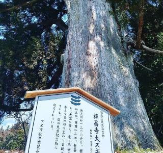 禅昌寺の参拝記録(MAXさん)