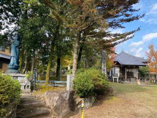 洞興寺の参拝記録(まついちさん)