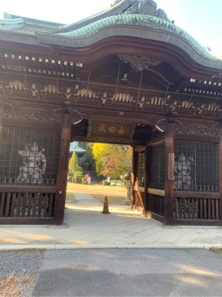 成田山 貞照寺の参拝記録(ずーほさん)