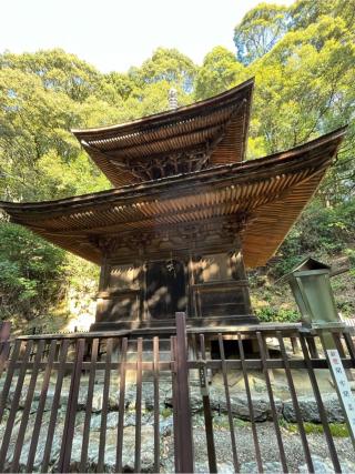 日龍峯寺の参拝記録(あまぞんさん)