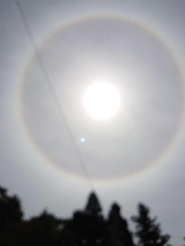 岐阜県関市下之保4560 日龍峯寺の写真6