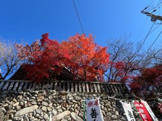 宗休寺(関善光寺)の参拝記録(あまぞんさん)