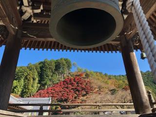 大竜寺の参拝記録(礼さん)