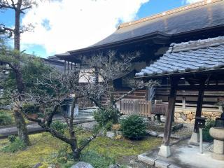 妙照寺の参拝記録(まろんさん)