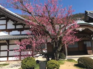 瑞龍寺の参拝記録(まついちさん)