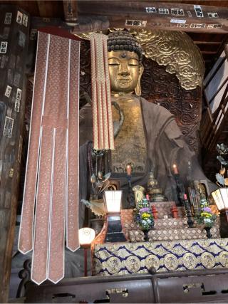 金鳳山 正法寺(岐阜大仏）の参拝記録(ペン太さん)