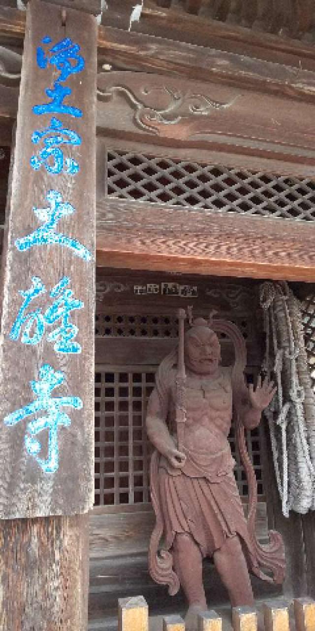 大雄寺の参拝記録6