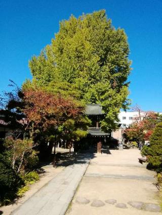 國分寺(醫王山 飛騨国分寺)の参拝記録(金亀さん)