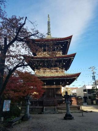 國分寺(醫王山 飛騨国分寺)の参拝記録(ラミミさん)