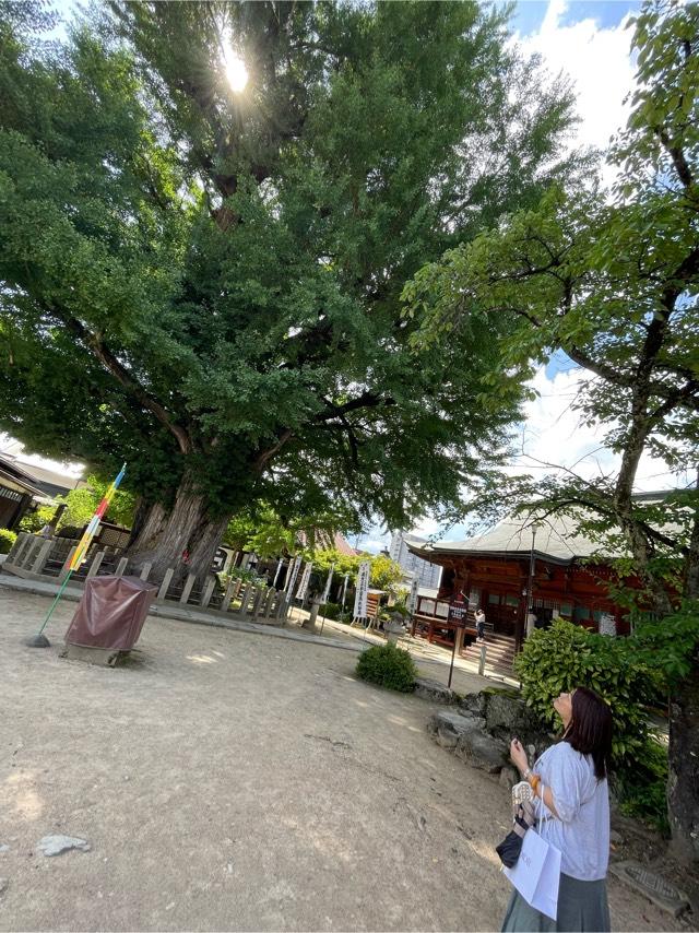 國分寺(醫王山 飛騨国分寺)の参拝記録7