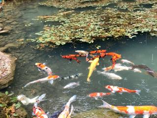 三光寺の参拝記録(くーさん)