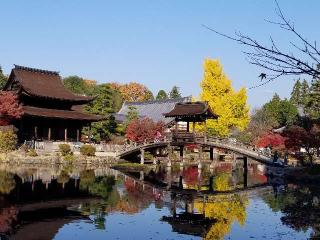 虎渓山 永保寺の参拝記録(銀玉鉄砲さん)