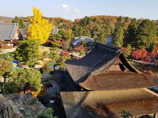 虎渓山 永保寺の参拝記録(銀玉鉄砲さん)