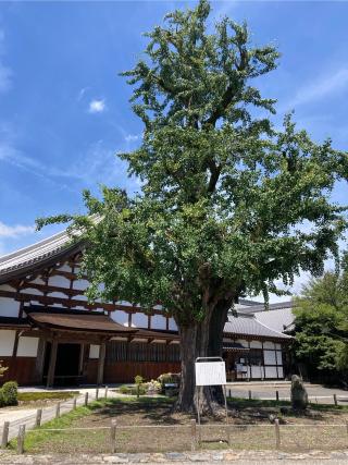 虎渓山 永保寺の参拝記録(恭子さん)