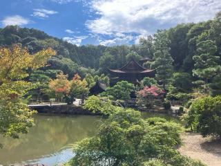 虎渓山 永保寺の参拝記録(🫠ちゅんさん)