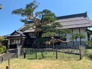 圓鏡寺の参拝記録(くーさん)