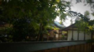 華厳寺　一乗院の参拝記録(さるさん)