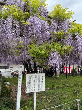 竹鼻別院の参拝記録(ヒデさん)