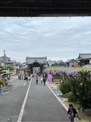 竹鼻別院の参拝記録(ヒデさん)