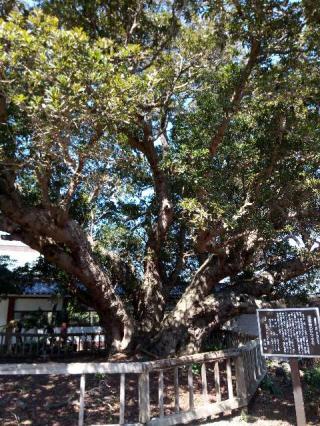 蓮着寺の参拝記録(てらっちさん)