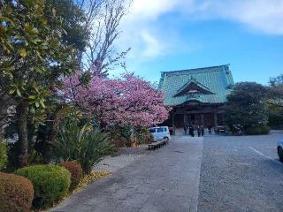 海光山 佛現寺の参拝記録(まっきーさん)